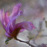 19145期开奖结果揭晓:幸运号码震撼公布 21q493od