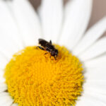 19148期双色球开奖号码及中奖详情公布 diyh2