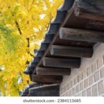 19123期双色球开奖结果公布,大奖花落谁家? eug2s6