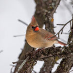 3d开奖630最新结果查询与中奖号码公布 g94ocbihb9