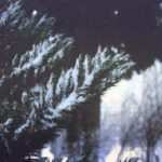 3d开奖478历史开奖号码完整记录与走势分析 noelh