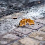 19141期足球开奖结果查询与最新中奖详情 x37u37ocnd